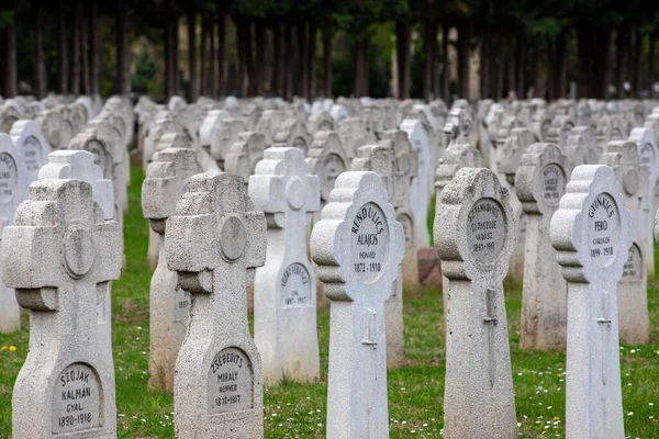 Primer Plano Lápidas Veteranos Primera Guerra Mundial Cementerio Pecs Hungría —  Fotos de Stock