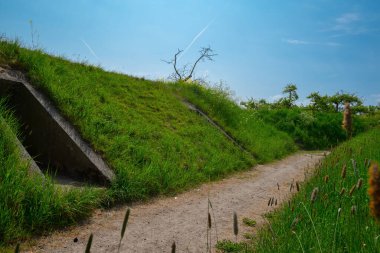 Taze otlarla dolu bir köy yolu.