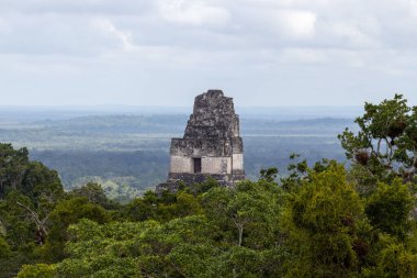 Tapınak 1 veya Grand Jaguar Gran Plaza Antik Maya kalıntıları Tikal Guatemala 'daki orman ormanı üzerinde..