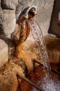 Sıcak su kaynağı, Galiçya, Burgaz 'ın kaynağı. İspanya