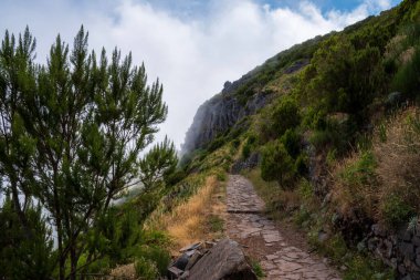 Mavi bulutlu arka planda nefes kesici bir dağ yolu manzarası