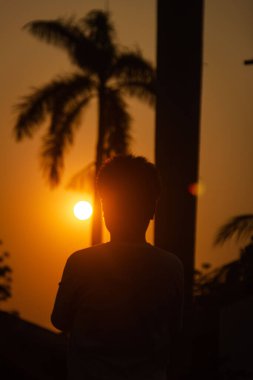 Gün batımında palmiye ağacına yaslanan bir kişinin dikey silueti.