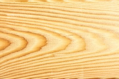 A closeup of the grain of Siberian larch