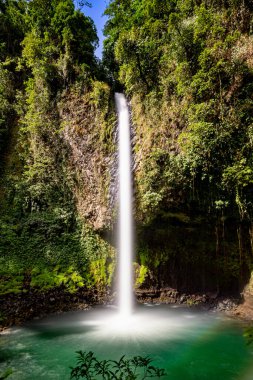 Gündüz vakti ormanda bir şelalenin dikey görüntüsü.