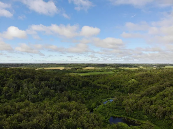 Una Vista Aerea Della Bellissima Foresta Primaverile Panoramica — Foto Stock