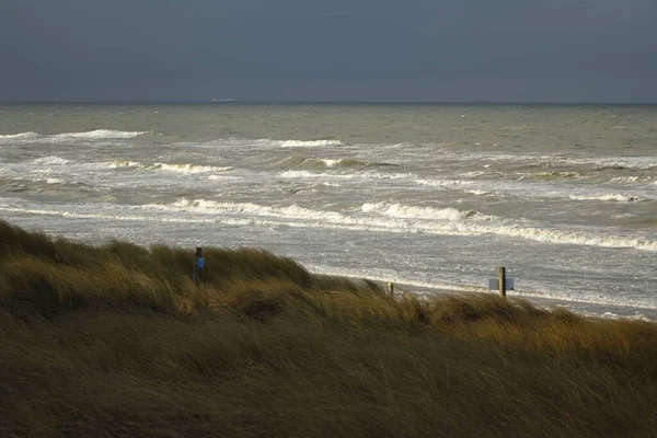 Karanlık gökyüzü, büyüleyici bir ışık ve gölgeyle yaklaşan fırtına dalgalı bir kuzey sahili ve ufukta bir gemi, kış sabahı