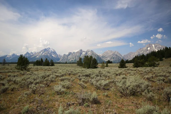 Kawałek Natury Parku Narodowym Grand Teton Wyoming Usa — Zdjęcie stockowe