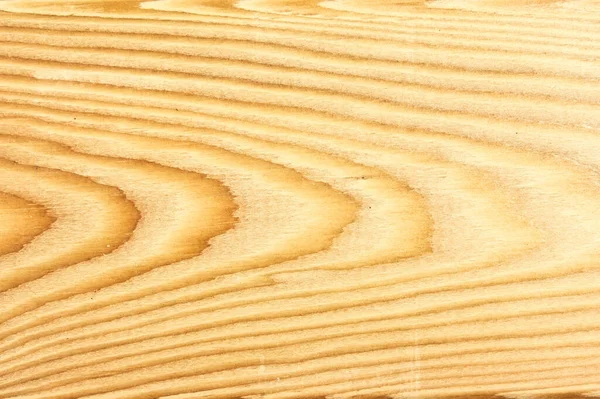 A closeup of the grain of Siberian larch