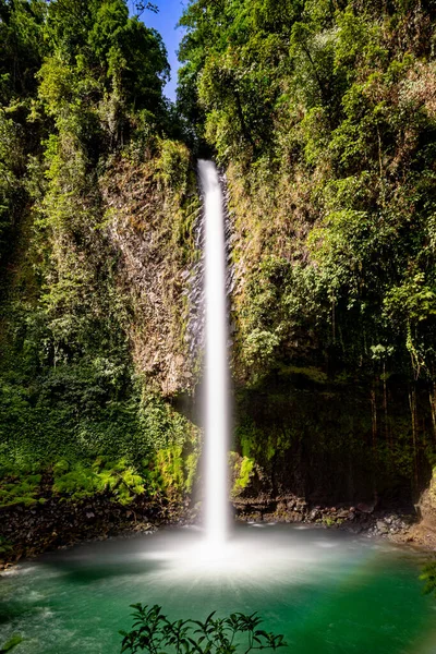 Gündüz vakti ormanda bir şelalenin dikey görüntüsü.