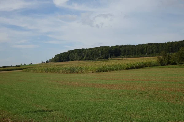 Yazın sonlarında, Torgny, Rouvroy, Lüksemburg, Wallonia, Belçika 'nın güneyindeki tipik Wallon manzarası.