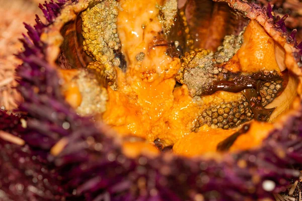 Open Sea Urchin Boqueria Market Barcelona Spain Spanish Gastronomy Concept — Stockfoto