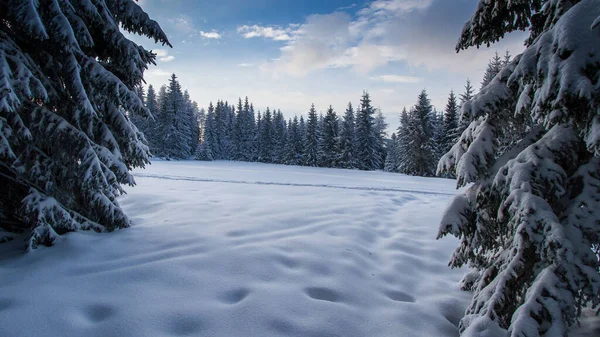 Pad Door Idyllische Winterlandschappen Schoeckl Oostenrijk Bij Graz — Stockfoto