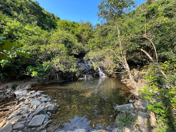 Ormanda küçük bir nehir manzarası