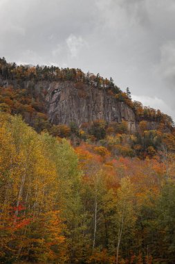 A beautiful landscape view of fall trees on the mountain against cloudy sky during daytime in New Hampshire, United States