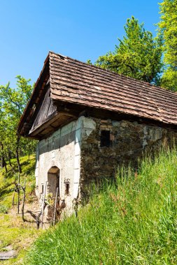 Yeşillik yeşillik ve ağaçlarla çevrili terk edilmiş eski taş evlerin dikey çekimi.