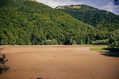 Karadağ 'da güneşli bir günde yeşil ormanlarla kaplı bir tepenin manzarası