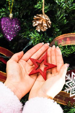 A vertical closeup of female hands holding a Christmas star decoration in front of a fir tree