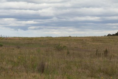 A scenic view of a field with grass and dry vegetation in cloudy sky background