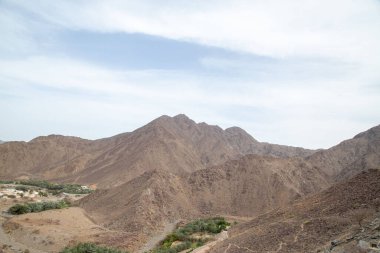Dağları ve vadileri olan çöl yolu buğdayla kuruyor.
