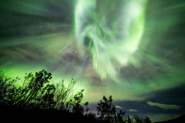 A low angle shot of the aurora lights in the sky at night