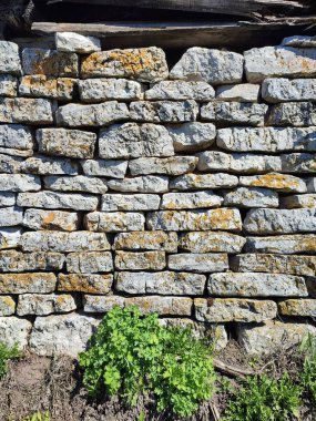 A closeup of a brick wall of a building and plants in a garden