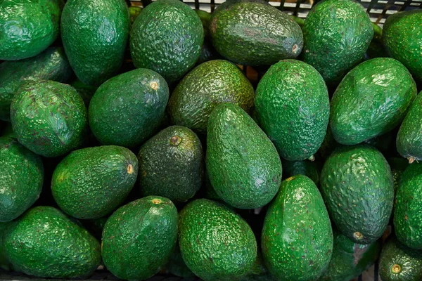 Abacates Colocados Numa Prateleira Para Venda Num Mercado — Fotografia de Stock