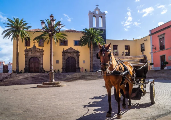 Beautiful Harnessed Horse Square Palm Trees Church Blue Sky — Stock Photo, Image