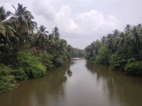 A beautiful lake between trees and palms of a forest under cloudy sky