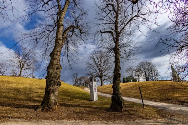 Trees Stensparken Oslo Norway — Zdjęcie stockowe