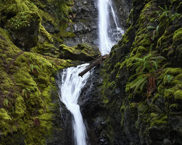 Waterfall Cascading Steep Black Cliff Amongst Vivid Green Moss — Foto de Stock