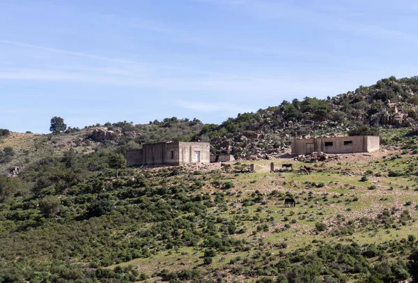 Typical Landscape Farmhouses Rural Sardinia — Zdjęcie stockowe
