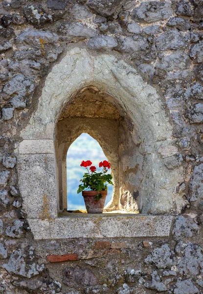 Eski bir duvardaki bir oyuktaki saksıya yakın çekim.