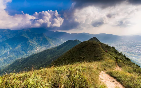 Dağ zirveleri ve bitkilerle dolu doğal bir manzara