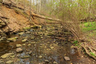 Baltimore, Maryland, ABD 'de güzel bir gölün yakın çekimi.