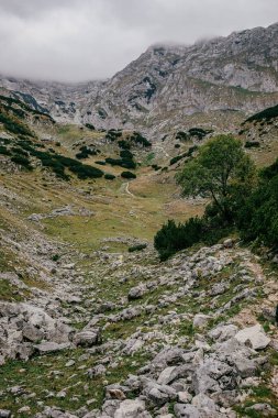 A vertical shot of the rocky mountains of Montenegro under a cloudy sky surrounded by vibrant greenery