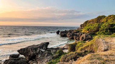 Gün batımında kumsalda kayalıklarda büyüyen vahşi bitkilerin güzel bir manzarası.