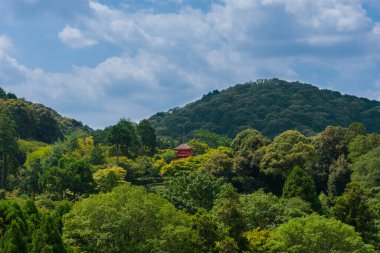 A pagoda surrounded by trees on hills in Osaka, Japan