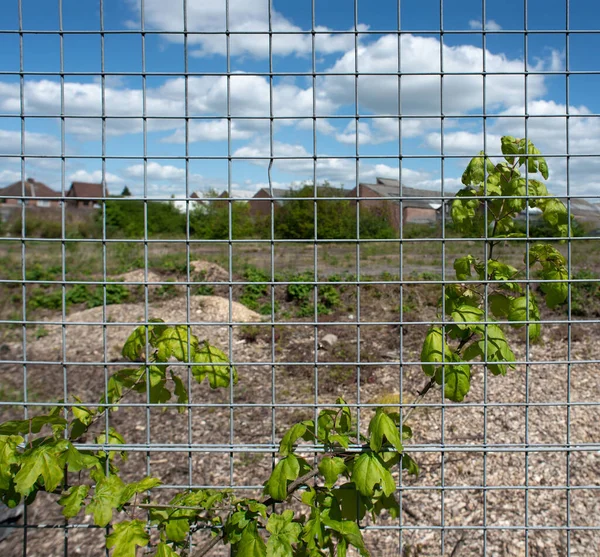 Close Wire Fence Derelict Industrial Land — Stock Fotó