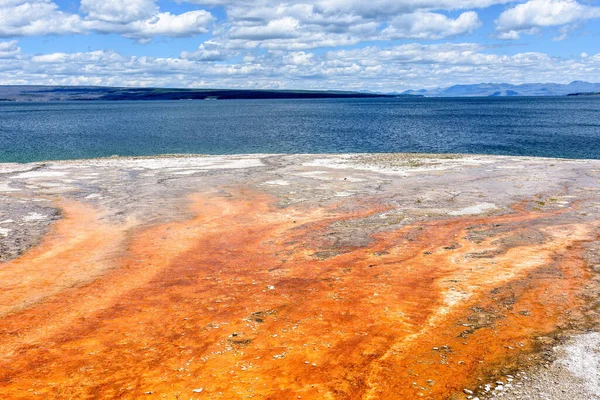 Värikkäitä Geysirejä Yellowstonen Kansallispuistossa Wyoming Usa — kuvapankkivalokuva