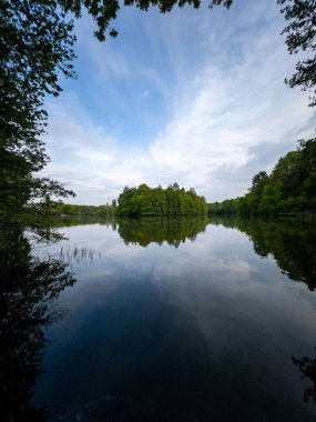 Yeşil ağaçların ve mavi gökyüzünün yansımalarıyla şeffaf gölet suyunun büyüleyici görüntüsü.