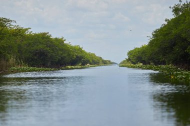 A scenic view of the river flowing through the canal surrounded by greenery under the blue sky