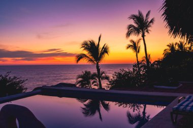 The silhouettes of palm trees and near the pool against the sea st sunset.