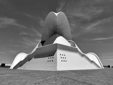 İspanya, Kanarya Adaları 'ndaki Tenerife Oditoryumu' nun hassas mimarisinin gri tonlu bir görüntüsü.