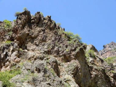 A low angle shot of a rocky hillside with trees in rural Armenia