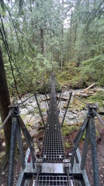 Yoğun bir dağ ormanında yaya köprüsü.