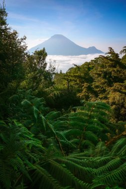 Sikunir Dieng Endonezya 'dan güzel bir gün doğumu manzarası. Arkasında bulutlar olan dağ