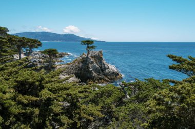 Güneşli bir günde mavi bulutlu bir gökyüzünün altında ağaçlarla dolu güzel kayalık bir sahil.