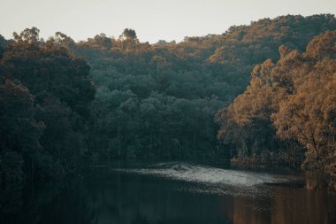 Güz ağaçlarıyla dolu güzel bir göl ve orman manzarası.