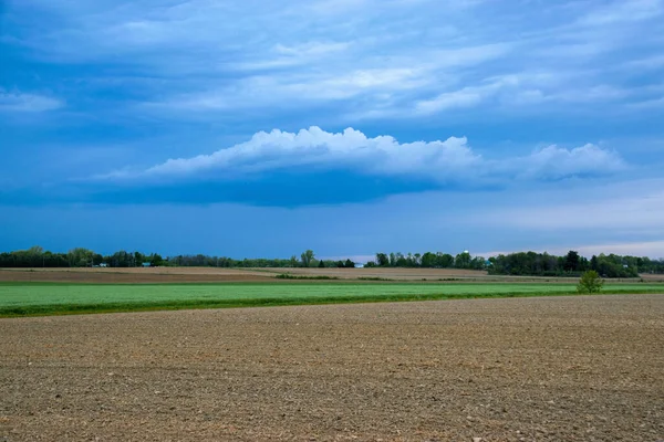 Een Prachtige Bewolkte Lucht Boven Een Groen Veld — Stockfoto