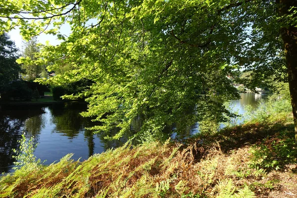 Pequeno Lago Sagmuhlweiher Com Reflexos Final Verão Ludwigswinkel Fischbach Renânia — Fotografia de Stock